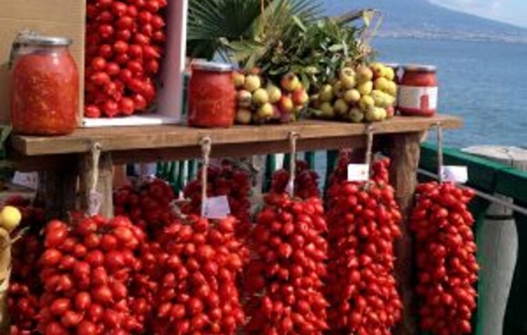 Domates Yetiştiriciliğinde Kültürel Uygulamalar