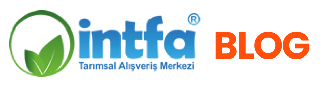 İntfa Blog Tasarım